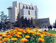 京师大厦
