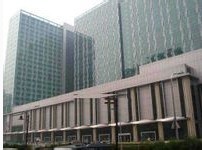 郎琴国际